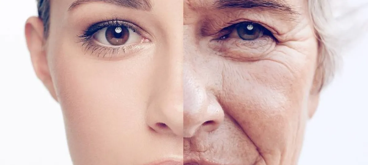 Comparaison visuelle du vieillissement de la peau : peau jeune versus peau mature